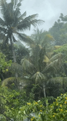 Heavy tropical rainfall documented in Thalaramba, Sri Lanka