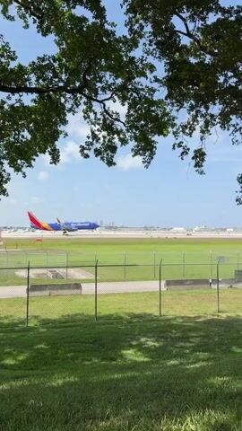 The video shows a Southwest Airlines airplane with a blue fuselage and a colorful tail on a runway. The plane is moving forward and appears to be either taking off or landing. There are other airplanes and airport buildings in the background, as well as a clear blue sky with some clouds. In the foreground, there is a green grassy area, a fence, and the branches of a tree partially obscuring the view. The overall environment is an airport on a sunny day.