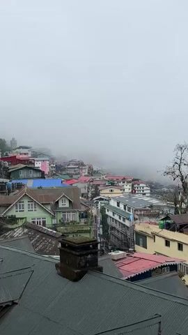 The video captures a panoramic view of a densely populated hill town, characteristic of Darjeeling, India, shrouded in thick fog or mist. The scene unfolds during what appears to be an overcast day, with the mist obscuring distant features and creating a soft, ethereal atmosphere.

Numerous buildings, packed closely together, cascade down the hillside. They display a variety of architectural styles and colors, including vibrant greens, blues, whites, pinks, and reds, alongside more muted tones of grey and brown for older structures. Many buildings feature pitched roofs, some made of corrugated metal in dark greens and greys, and others with red or blue coverings.

In the foreground, several rooftops with chimneys are prominent, and a few pigeons can be seen perched on them. As the camera slowly pans from right to left, more of the sprawling town comes into view. Towards the middle-left of the frame, a building with a distinctive golden-colored roof section displays a flagpole with a yellow flag and a red banner, suggesting a possible religious site. Further in the background, a communication tower or antenna is partially visible, peeking through the dense mist. The overall impression is that of a vibrant town nestled amidst the misty hills. No people are visible, and there is no discernible text in the video.