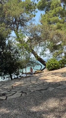A person walks down a stone path towards the sea, framed by trees. The sea is a vibrant turquoise, and the sky is a bright blue with fluffy white clouds. The trees are lush and green, with branches reaching out over the path and the water. The stone path is made of irregular, flat stones, and the area around it is covered in gravel. The overall scene is one of a peaceful, sunny day by the ocean.