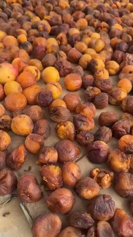 A close-up, overhead shot shows a large pile of dried apricots spread out on a light brown, textured surface, likely cardboard or paper. The apricots vary in color from a bright orange to a deep reddish-brown, indicating different stages of drying or variety. Some are whole and plump, while others are shriveled and appear to have been halved or pitted. The lighting suggests an outdoor setting, possibly in the sun, as indicated by the natural and slightly warm tones. In the upper right corner, a small portion of a wooden crate with some blue and white labeling is visible, suggesting the apricots may be packaged or prepared for sale. The focus is sharp on the apricots in the foreground, with a slight blur towards the background, emphasizing the texture and variety of the fruit. There are no people visible in the video.