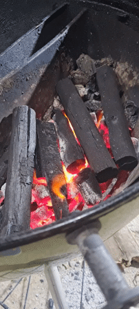 Backyard barbecue gathering documented in Lachish Regional Council