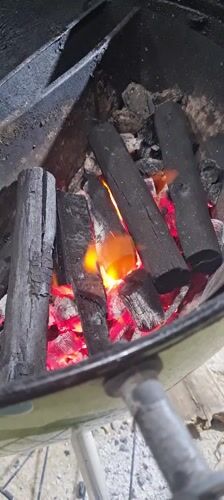 Backyard barbecue gathering documented in Lachish Regional Council