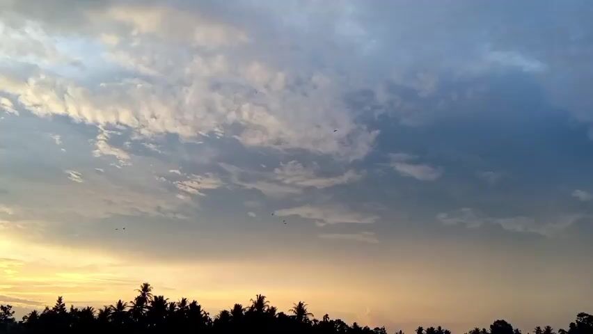 The video depicts a sunset sky. Fluffy white clouds are scattered across a light blue sky, transitioning to an orange glow near the horizon. Silhouetted trees line the bottom of the frame. Several small birds can be seen flying in the sky.