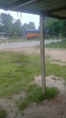 This video shows a view from under a covered structure, likely a shelter or porch. The structure has a corrugated metal roof supported by wooden posts. In the foreground, there is dirt and patchy grass. Beyond the shelter, a road is visible with a sidewalk or curb running alongside it. Further in the background, there are trees, some buildings, and a large orange truck with a trailer. The sky appears overcast. There are no people or animals visible in the video.