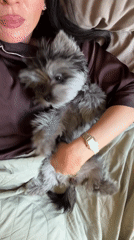 Woman relaxes with dogs in bedroom in Chaikovsky
