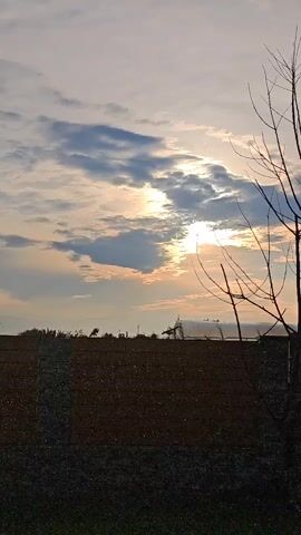 The video shows a dusky sky with clouds and the sun peeking through. In the foreground, there is a field and a bare tree. There are also some structures and possibly some birds in the distance. The scene appears to be a rural landscape at sunset or sunrise.