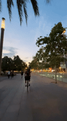 Evening bicycle tour through Barcelona's waterfront and markets at dusk