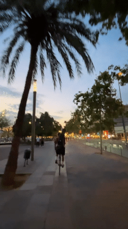 Evening bicycle tour through Barcelona's waterfront and markets at dusk