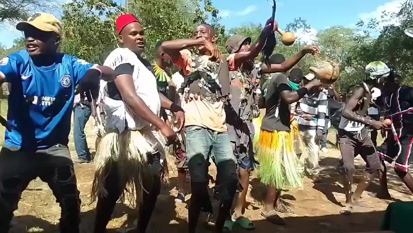 Here's a concise description of the video:

The video shows a group of around 12 men dancing outdoors, likely in a rural or semi-rural setting with trees in the background. They are mostly casually dressed, with some wearing traditional elements. These traditional elements include: 

*   A red fez-like hat
*   White cloth draped over a shoulder
*   Grass skirts in natural and brightly colored hues.
*    Decorative accessories.

One man is holding a gourd and another plays a musical instrument, possibly a horn. They are dancing in a line, with some people recording with phones. The overall mood is festive and celebratory.