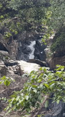 Tourist documents waterfall wildlife during Thailand nature visit