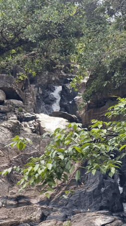 Tourist documents waterfall wildlife during Thailand nature visit