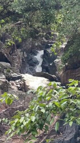 Tourist documents waterfall wildlife during Thailand nature visit