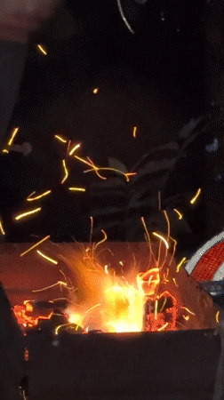 Sochi evening: a sleepy tortoiseshell cat and a backyard fire