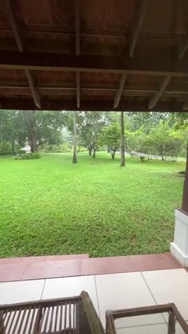 The video shows a view from under a thatched roof, looking out onto a lush green lawn. There are trees scattered across the lawn, and a hammock is visible in the distance. The ground in front of the lawn is tiled, and there is outdoor furniture on the tiled area. The scene appears to be a tranquil outdoor setting, possibly a backyard or a resort. The lighting suggests it is daytime, and the overall atmosphere is peaceful and serene.