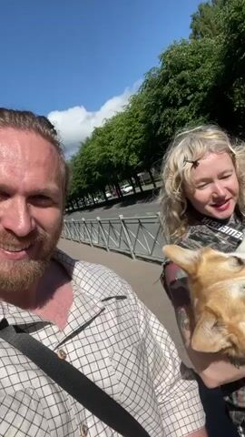 This selfie-style video captures a bright, sunny day in Sosnoviy Bor, Russia. The foreground features a man with a beard, smiling at the camera. He's wearing a checkered shirt and has a strap across his chest. To his right, a woman with blonde, windswept hair holds a corgi. The dog is on its back, with its tongue out, looking content. The woman is also smiling and wearing a plaid shirt. Both are casually dressed.

Behind them, a paved sidewalk runs alongside a road lined with mature trees, their green leaves creating a dappled shade. A metal railing separates the sidewalk from the road. In the background, cars are visible on the road, suggesting it's a public area, likely a park or a street with pedestrian access. The weather appears warm and pleasant, with a clear blue sky and bright sunlight casting shadows.

A small white box with orange and green lettering is held in the man's right hand. The text on the box is partially visible and reads "Harre 9". The overall mood is lighthearted and joyful, with the subjects appearing happy and relaxed during their outdoor excursion.
