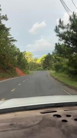 The video shows a view from inside a moving car driving on a paved road. The road has a dashed yellow line down the center. On both sides of the road are green trees, mostly tall pine trees. The ground to the left of the road is reddish-brown earth with some exposed roots. The sky is cloudy. The dashboard of the car is visible at the bottom of the frame. The car is moving at a steady pace.