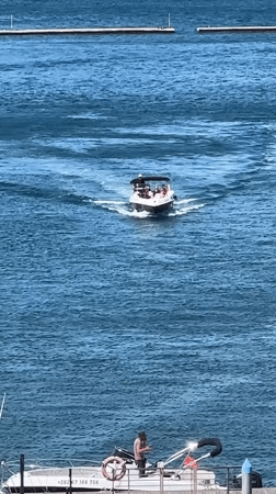Routine boat traffic observed at Tivat marina during sunny morning