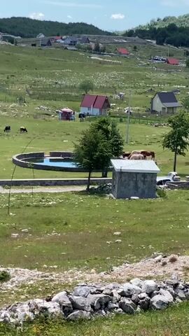 A vertical, medium shot captures a rural landscape under a bright sky with scattered clouds. The foreground features a pile of grey and white rocks. The midground displays a vast, green, grassy field dotted with scattered trees, several small buildings with red and yellow roofs, and a circular pool of water. Several cows and horses are visible grazing in the field or near a small, grey, rectangular structure with a white roof, which has graffiti on its side. In the background, a hilly landscape is covered with more greenery and houses, suggesting a village or settlement. The overall impression is one of a serene, pastoral scene.