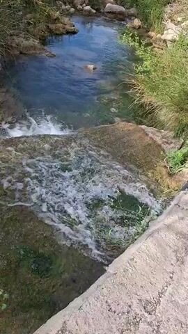 The video shows a slow-moving stream flowing through a natural environment. The water is clear and reflects the blue sky and surrounding greenery. Rocks and lush vegetation line the banks of the stream. The camera is positioned above the water, looking down into the stream and then slowly tilting upwards to reveal the wider landscape and sky. The overall scene is peaceful and natural.