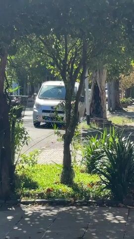 The image depicts a sunlit street scene in what appears to be a residential area of Avellaneda, Argentina. The foreground shows a concrete sidewalk on the left, leading to a patch of green grass and various leafy plants. The view is framed by two small, leafy trees, one centrally placed in the immediate foreground, with sunlight filtering through their branches.

Beyond the foreground greenery, a cobblestone-like street is visible. A light-colored (possibly silver or champagne) Peugeot minivan or large sedan is prominently parked or slowly moving in the midground, facing towards the viewer. Its headlights appear to be on, and the vehicle's front grille with the Peugeot logo is discernible, though the license plate is obscured. Behind the car and to its left, a dark metal barrier or fence is partially visible, along with a white sign bearing the numbers "3684."

The street is lined with larger, mature trees, some with light-colored bark, casting dappled shadows on the pavement. Bright sunlight illuminates tiny white specks, possibly pollen or dust, floating in the air, particularly around the central foreground tree and the car. The overall atmosphere is peaceful and bright, indicating a clear, sunny day. No people are visible.