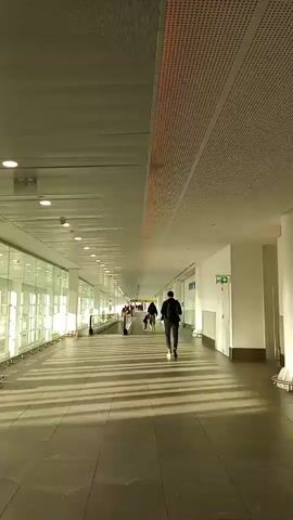 A long, bright hallway with a glass wall on the left. Sunlight streams in from the glass wall, casting long shadows on the floor. Several people are walking down the hallway. The person in the foreground is walking away from the camera. There are ceiling lights and what appears to be a ventilation system in the ceiling. There are signs on the wall to the right.