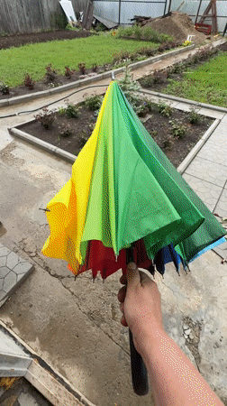 Woman poses with rainbow umbrella during early morning rain