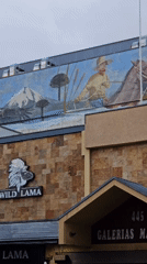 Wild Lama business and wildlife mural documented in Temuco