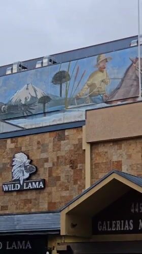 Wild Lama business and wildlife mural documented in Temuco