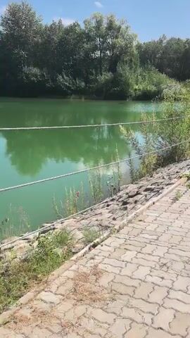 The video opens with a view of a paved path next to a body of green water with trees in the background. The path is made of interlocking pavers and bordered by a low wire fence. Sunlight dapples the path. The camera then pans to show a rustic wooden structure and a small wooden bridge over a narrow stream. The bridge appears weathered. Lush green vegetation surrounds the stream. The video continues to follow the stream, showing more dense green foliage and the clear water flowing over stones. A small white bird is briefly visible near the water's edge. The path continues to be visible in the foreground.