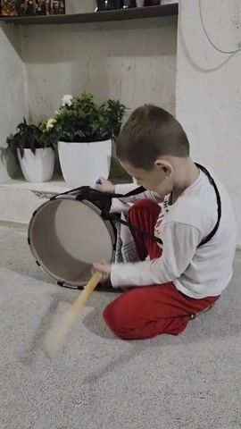 A young boy is shown kneeling on a gray carpet, playing a drum. He's wearing a long-sleeved white shirt, red pants, and a black strap around his shoulder which appears to be supporting the drum. He's holding a wooden drumstick in his right hand and is hitting the drum. The drum is lying horizontally on its side on the carpet. Behind him are two white pots with green plants inside. Further back, there's a shelf with various items on it. The walls are white.