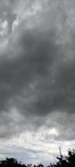 Afternoon documentation of nature, weather, and small objects