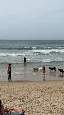 Woman and child observed on hazy beach