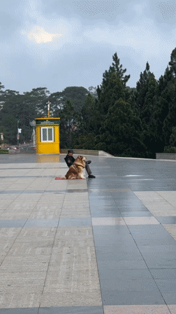 Late night street life documented around Da Lat lake area