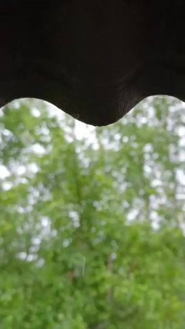 The video shows a close-up, out-of-focus shot of green foliage. A dark, curved object is in the foreground, with a single droplet of water hanging from its edge. The droplet falls, and then another appears. The scene suggests it is raining lightly.
