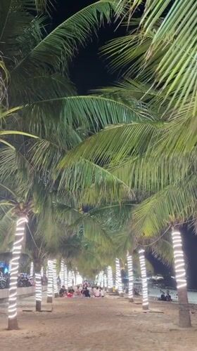 Nha Trang beachfront at night, lights, food, and street life