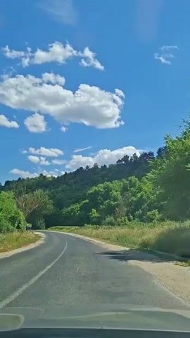 This is a first-person perspective video taken from a moving vehicle on a paved road. The road curves to the left, with a white line marking the edge of the lane. On the left side of the road, there are green trees and vegetation, including a bare tree with some green foliage. A yellow sign is visible on the side of the road. On the right side of the road, there is dry grass and a small white dog. Beyond the roadside vegetation, a green, tree-covered hill rises steeply. The sky above is a bright blue with scattered white cumulus clouds. The overall scene depicts a sunny day in a rural, hilly environment.