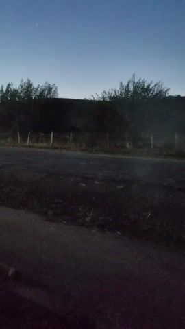 This is a short video taken at night, possibly dawn or dusk, showing a dark, possibly paved, road in the foreground. A low fence made of wooden posts is visible in the middle ground, separating the road from a dark, vegetated area behind it. Trees or bushes are silhouetted against a dark sky, which has a faint gradient of lighter blue near the horizon. A single, faint star or light is visible in the sky in the upper left quadrant of the frame. The video appears to be filmed from a moving vehicle as there is a slight blur, indicating motion. There are no people or animals visible in the frame.