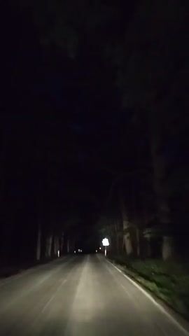 A car is driving down a dark road at night. The headlights illuminate the asphalt and the surrounding trees, which form a dense canopy over the road. There are white posts lining the side of the road. A sign is visible on the right side of the road. The scene is dark and the visibility is low.