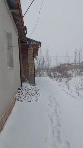 The video shows a snowy rural landscape. There is a building on the left, a path covered in snow, and a field with small trees. There is a stack of logs in the foreground and a clothesline with laundry hanging from it. The sky is overcast and it appears to be snowing lightly. In the background, there is another building and a tall tree. The overall scene is a cold and quiet winter day in the countryside.