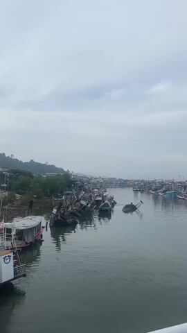 The video shows a harbor on a cloudy day. In the water, there are several boats, some of which appear old and partially submerged. The water is relatively still, with gentle ripples visible on the surface. On the left side of the video, there's a land area covered with trees and some buildings in the background. Further down the harbor, there are more boats, some of which are colorful and seem to be in better condition. The sky is overcast with a greyish-white hue.