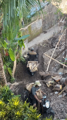 Two motorcyclists navigate narrow pathway in Ubud District