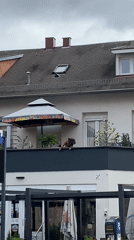 Person documents spring morning scenes around Bischheim, France