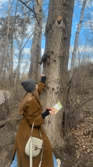 Woman feeds squirrel nuts by tree in Yekaterinburg