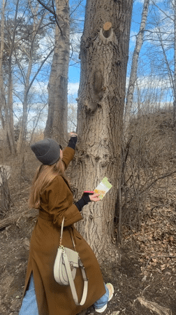 Woman feeds squirrel nuts by tree in Yekaterinburg