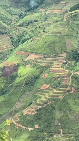 The video shows a panoramic view of a lush green mountainous landscape with extensive terraced fields. The terraces are carved into the hillsides, creating a beautiful pattern of varying shades of green and brown, with some patches appearing to be flooded or recently planted. A dirt path winds its way through the terraces, connecting different sections of the landscape. In the distance, a dense forest covers the top of a hill. The overall impression is one of agricultural activity integrated into a natural environment. The camera appears to be moving slowly, panning across the scene, giving the viewer a sense of depth and scale. The lighting suggests it is daytime, possibly overcast, as there are no strong shadows. There are no people or animals visible in the frame.