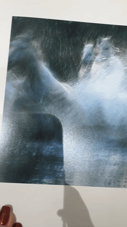 Woman photographed examining horse prints, taking selfies in Dubai