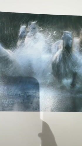 Woman photographed examining horse prints, taking selfies in Dubai