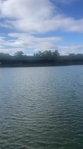 The video captures a wide shot of a body of water under a cloudy blue sky. The water is rippled, suggesting a slight breeze. In the distance, the far bank is lined with trees. A man-made structure, possibly a raft or a series of connected buoys, is visible on the water in the middle distance. The overall scene is tranquil and natural.