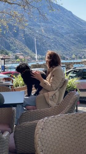 Woman enjoys morning cafe moment with small dog in Kotor Bay